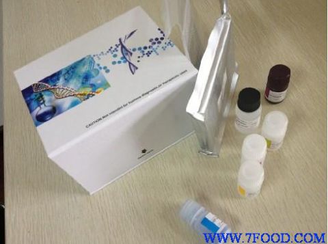 人活化素AELISA试剂盒