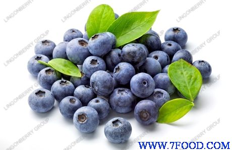 蓝莓天然色素（**提取）