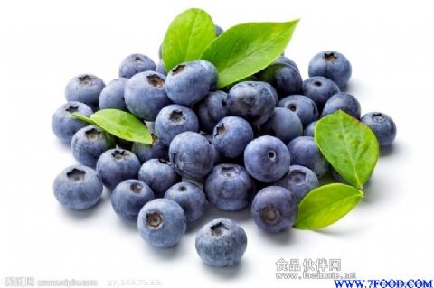 蓝莓浓缩汁
