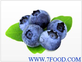 蓝莓浓缩汁清汁美国进口天津分公司厂家直销