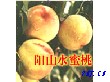 水密桃（朝辉湖景）