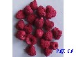 FD冻干树莓