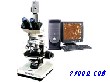 透射数码偏光显微镜