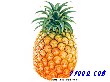 菠萝蛋白酶（医药级）