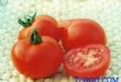 合资番茄红素生产项目