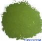 绿奇小球藻粉