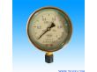 北京优质充油YTN100耐震压力表
