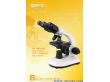 生物显微镜（B203）