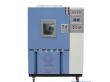 低温恒温恒湿试验箱（DHS-100）