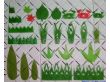 绿叶片、寿司草、山形绿叶片、大山草、虾草（001）