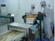 LZ4008米饼、膨化食品探测器