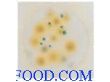 3M Petrifilm8482 霉菌和酵母菌测试片
