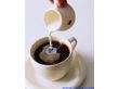 咖啡用植脂末咖啡用奶精