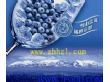 果酒：蓝莓天使（500ml）