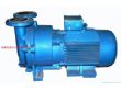 真空泵:SKA系列水环式真空泵