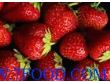 深圳印香草草莓蓝莓不干胶香味商标贴纸