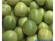 琯溪蜜柚（1.1kg/个）