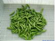 速冻甜豌豆（L4-8.5cm,厚度6-12mm）