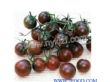希腊壮阳黑番茄种子