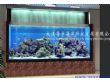黑龙江大型观赏鱼缸