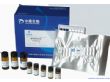 氯霉素酶联免疫快速检测试剂盒（ZD-E-014）