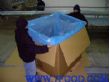 青岛冷冻草莓蘑菇出口欧美500公斤大包装箱