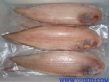 舌鳎鱼（250克/包）