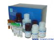 大鼠胆固醇ELISA试剂盒（48T/96T）