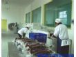 上海楚尚微波包装食品干燥杀菌机