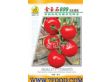 (以色列)金玉石699石头蕃茄
