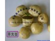 荷兰十五号土豆种子
