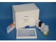 呋喃西林检测试剂盒
