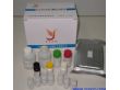 四环素类药物酶联免疫检测试剂盒