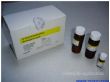 D异柠檬酸检测试剂盒