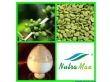 绿咖啡豆提取物1099绿原酸（10%~99%绿原酸）