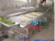 蔬菜臭氧清洗机（DY3000）