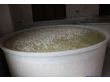 1立方食品腌制桶（1000L塑料圆桶）