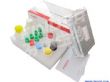 黄曲霉毒素M1酶联免疫检测试剂盒