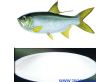 鱼制品保鲜抗氧化剂（RX-CDF01）