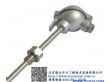 北京管道温度传感器生产（KZW/P-230）