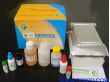 人白介素8ELISA试剂盒（96T/48T）