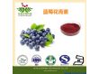 厂家供应蓝莓提取物原花青素花青素（LS10004）