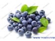 蓝莓天然色素