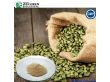 纯度高达98%的绿咖啡豆提取物