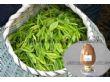 【绿茶提取物】食品级医药级营养强化剂茶氨酸