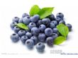 蓝莓浓缩汁（42BX）
