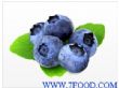 野生蓝莓浓缩汁清汁美国进口天津分公司厂家直销（4718.1）