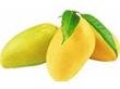 三门峡盈润食品有限公司:浓缩香蕉汁原浆原料   酵素原料饮料厂原