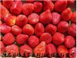 速冻草莓（A级）