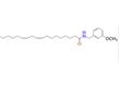 N-间氧基苄基-9顺
